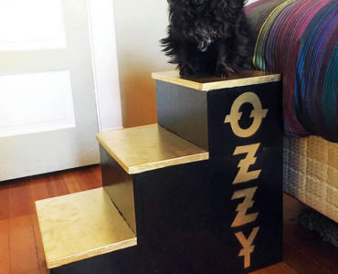 Stairs For Ozzy